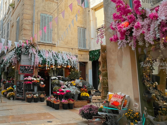 Vicolo con fiori ad Aix-en-Provence - Provenza