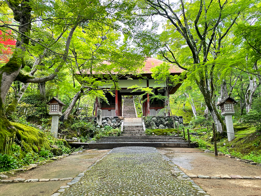 Jojakko-ji Temple - Kyoto