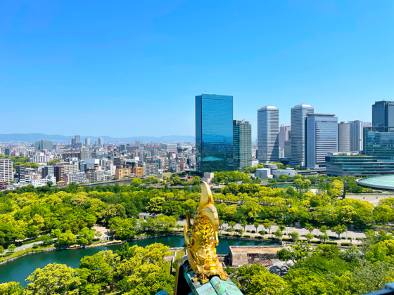 Vista del castello di Osaka - Osaka