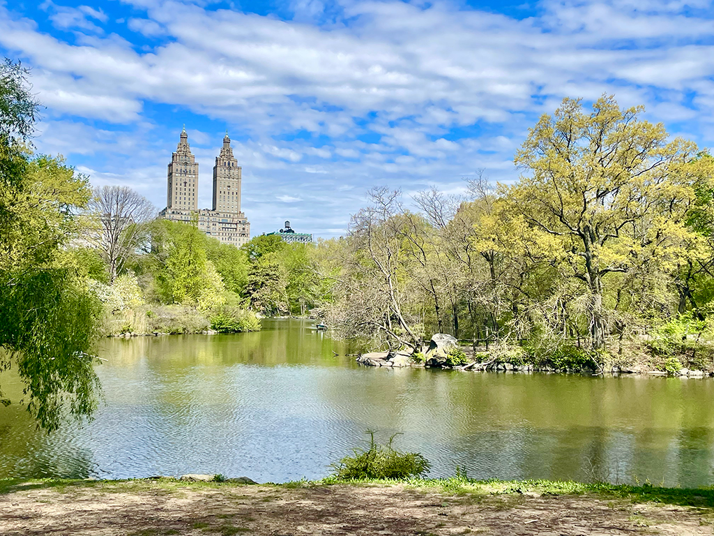 Central Park - New York