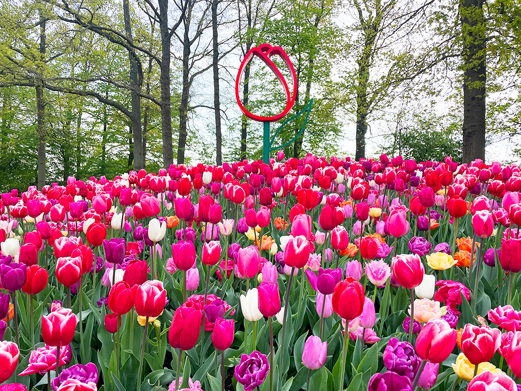 Keukenhof - Olanda