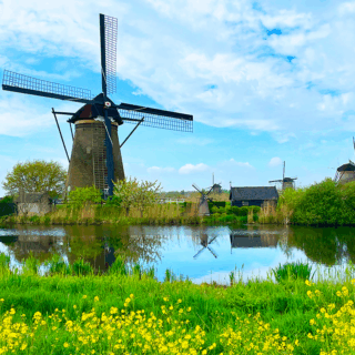 Kinderdijk - Olanda