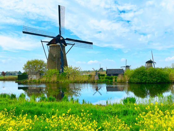 Kinderdijk - Olanda
