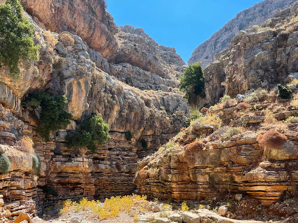 Jacob's Canyon - Rhodes